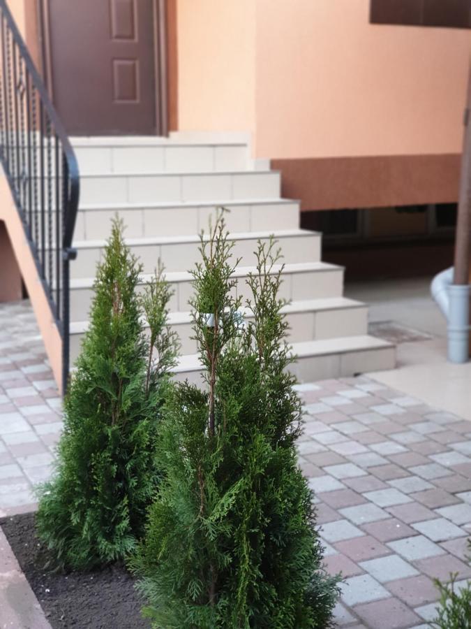 Apartment Villa דירה